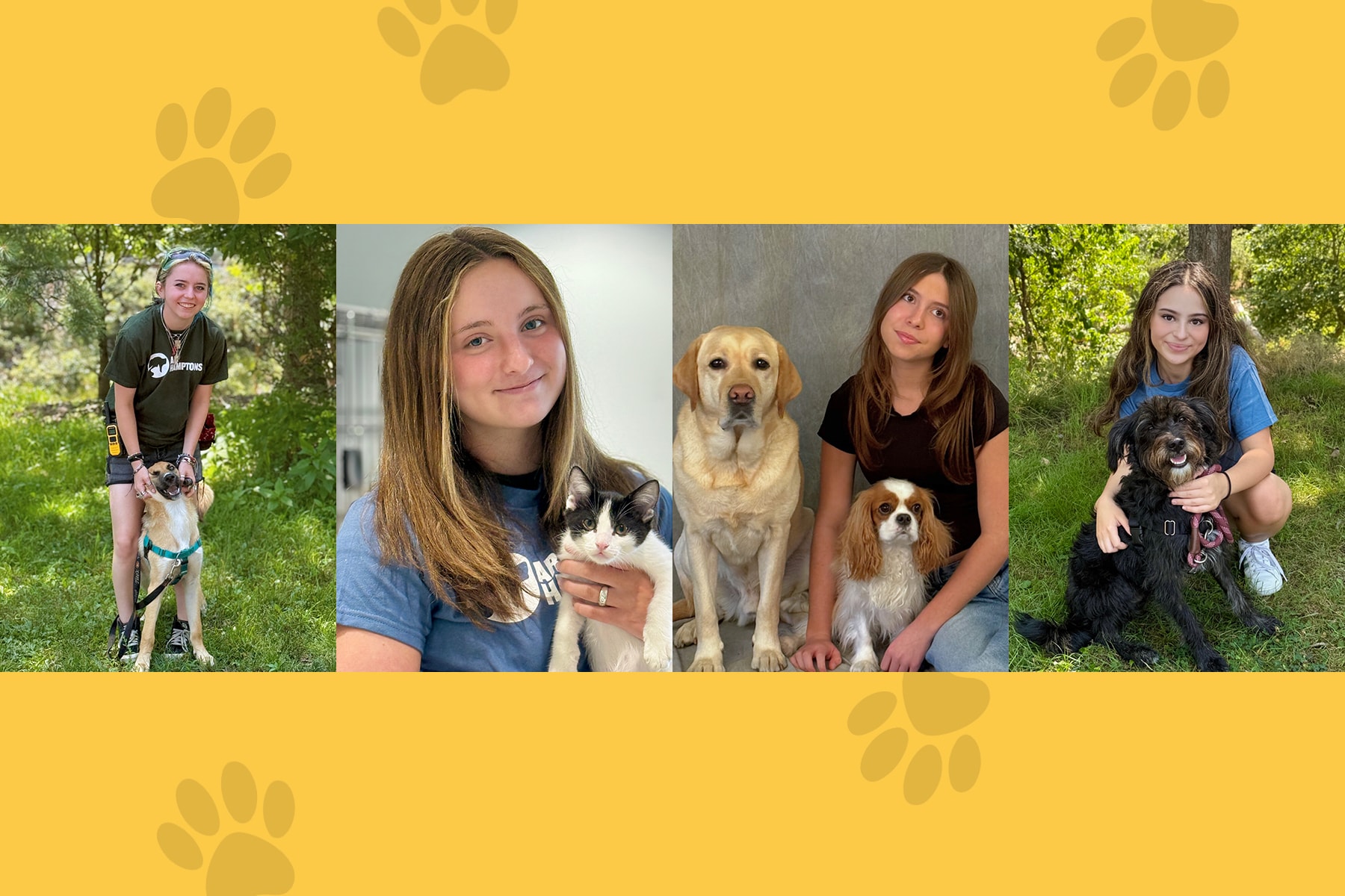 From Passion to Paw-sitive Impact