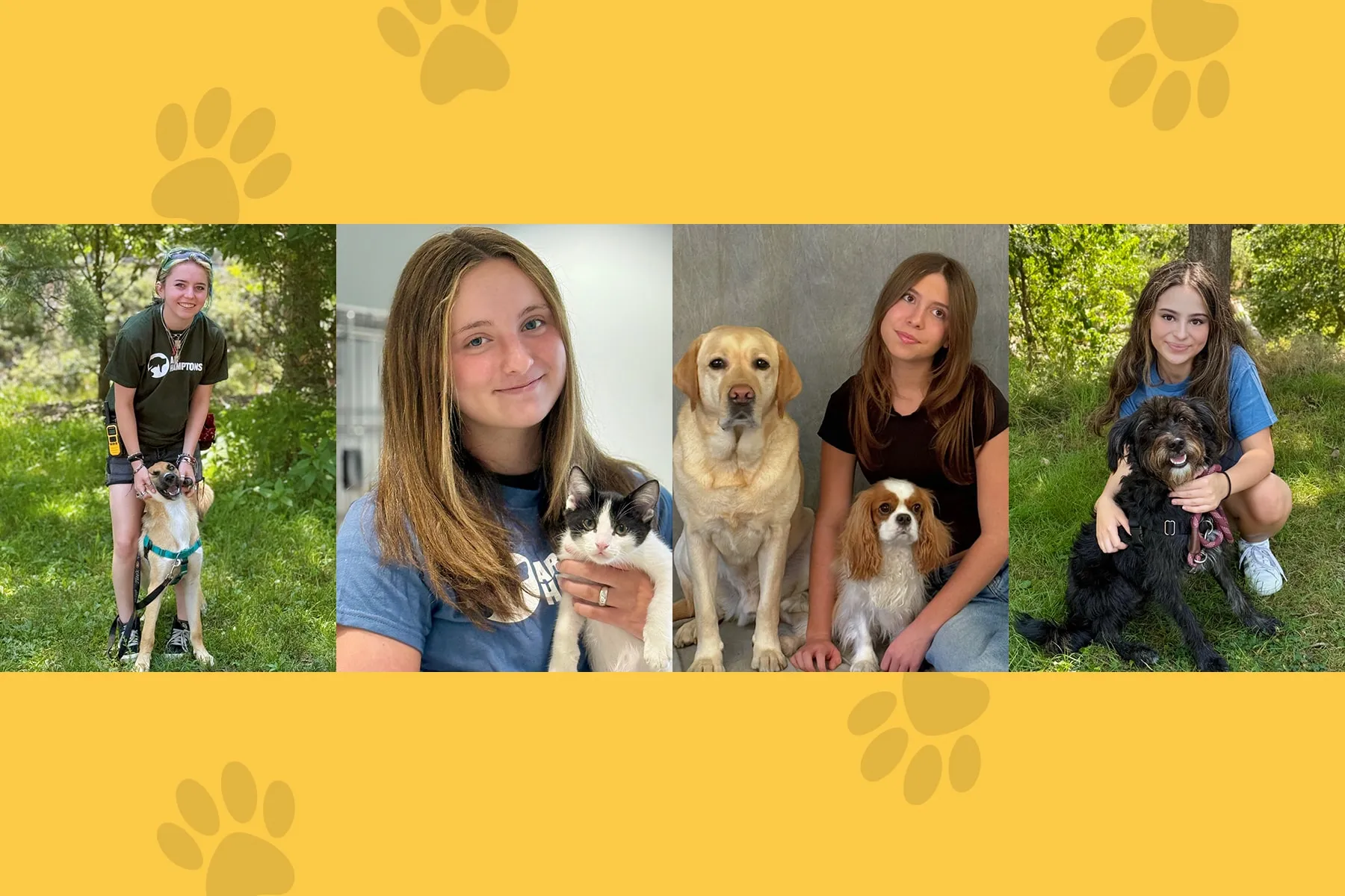 From Passion to Paw-sitive Impact