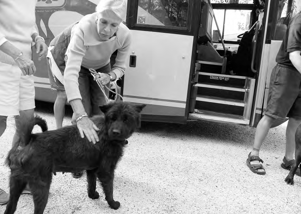 Undertook first out-of-state rescue transport in response to Hurricane Katrina and began providing free microchipping for all ARF animals