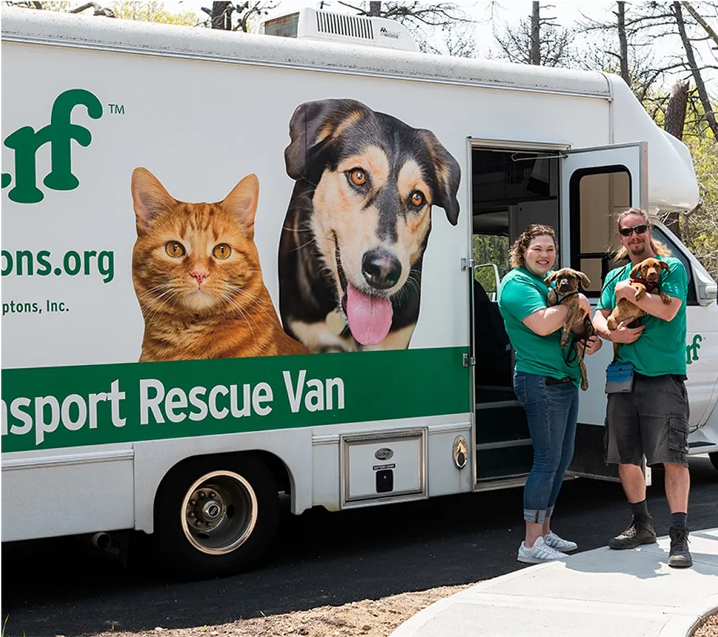 Began using mobile adoption van
