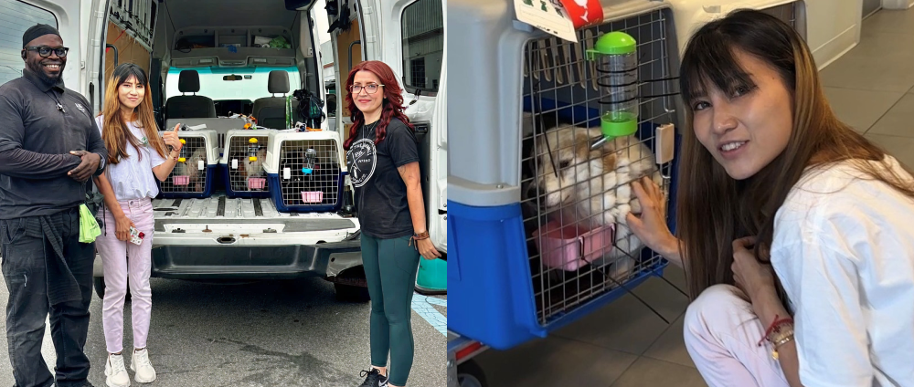 A Lifeline Across Continents