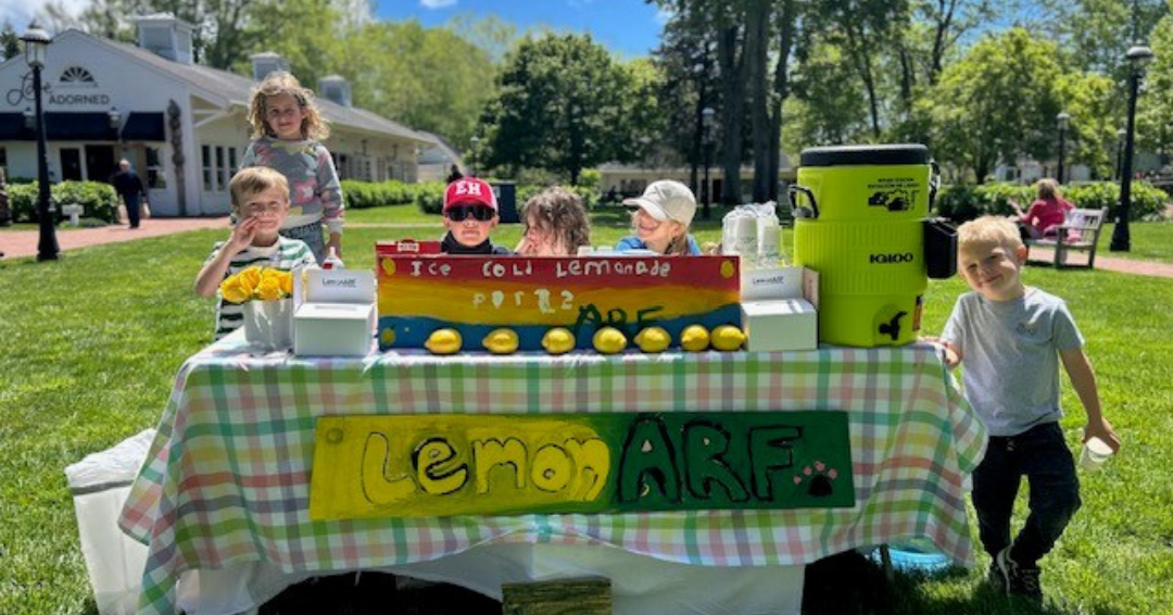 LemonARF Returns for Summer 2026 and Invites Kids to Help Fuel a New Mobile Adoption Van