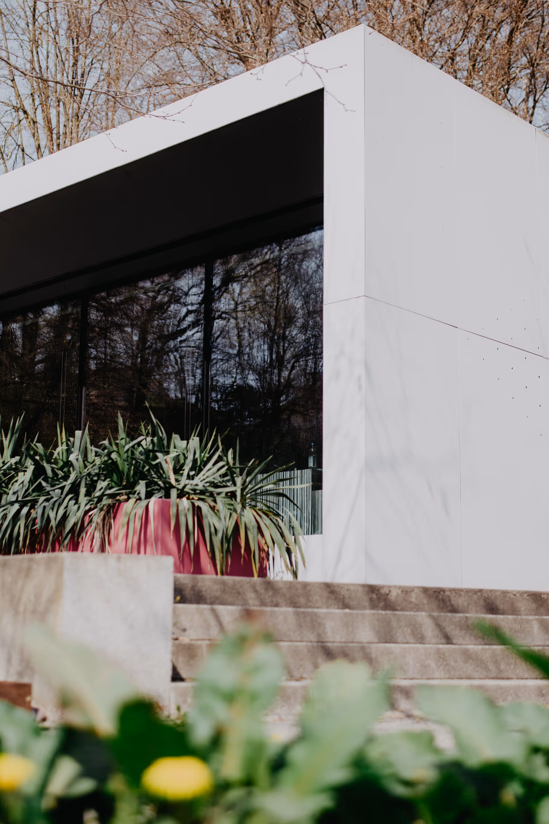 Moderne weiße Gebäudeecke mit großem Fenster, davor rote Pflanzgefäße mit grünen Pflanzen und steinerne Treppenstufen.