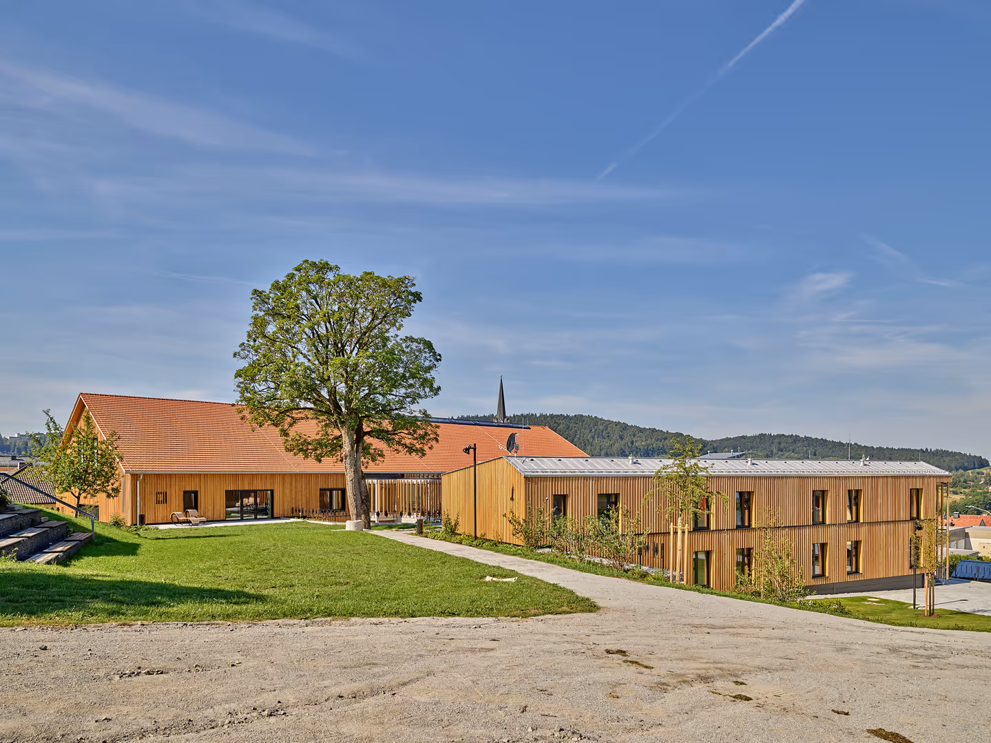 Modernes Gebäude mit Holzfassade und rotem Ziegeldach neben einem großen Baum auf grünem Rasen unter klarem blauem Himmel.