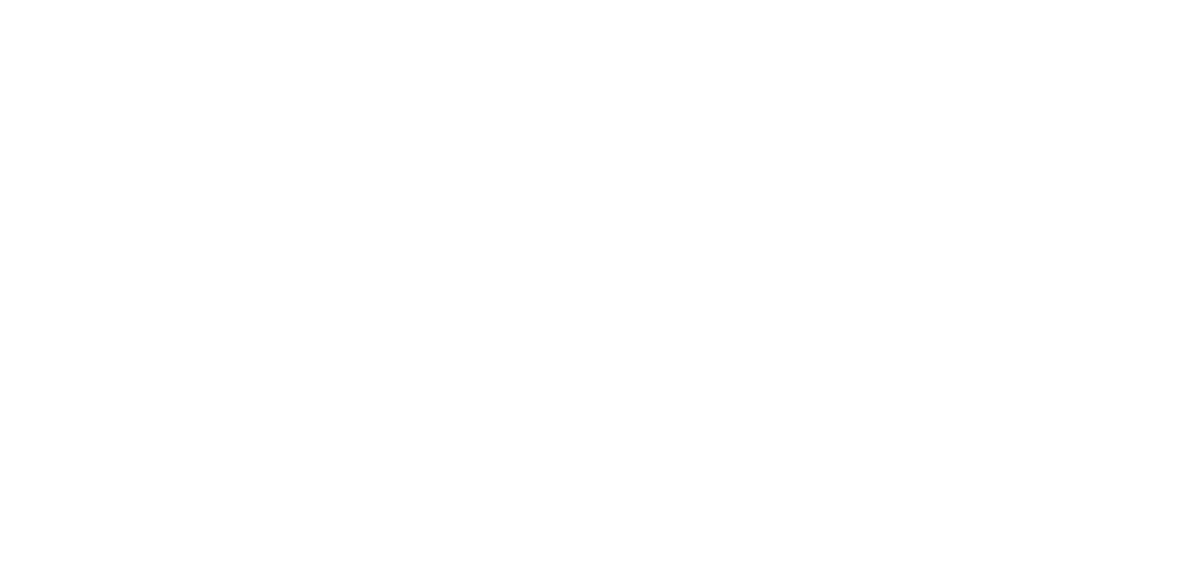 Flysurfer