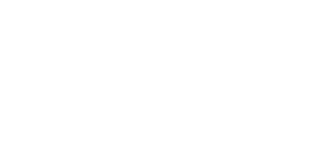Eleveight