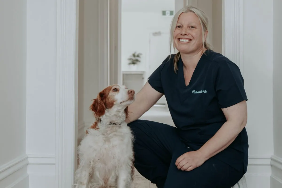 Vet with a dog