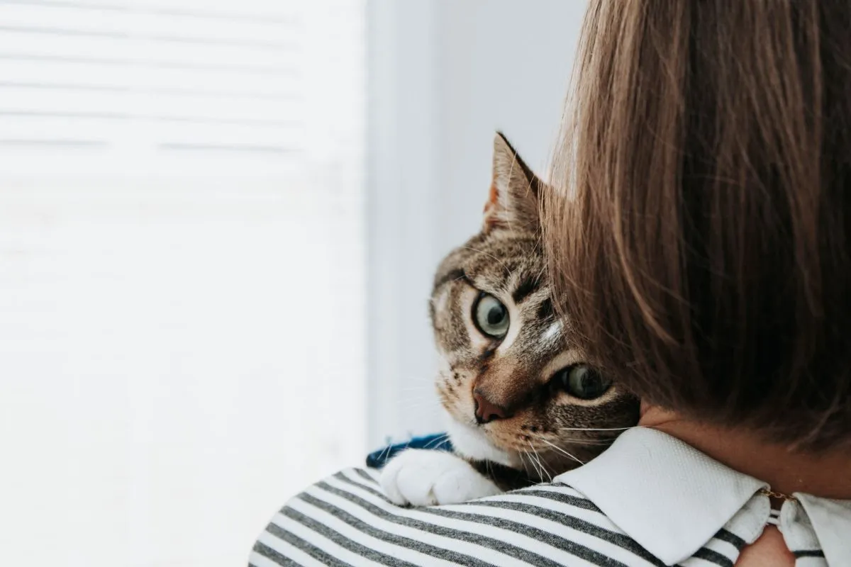 Cat on woman's shoulder