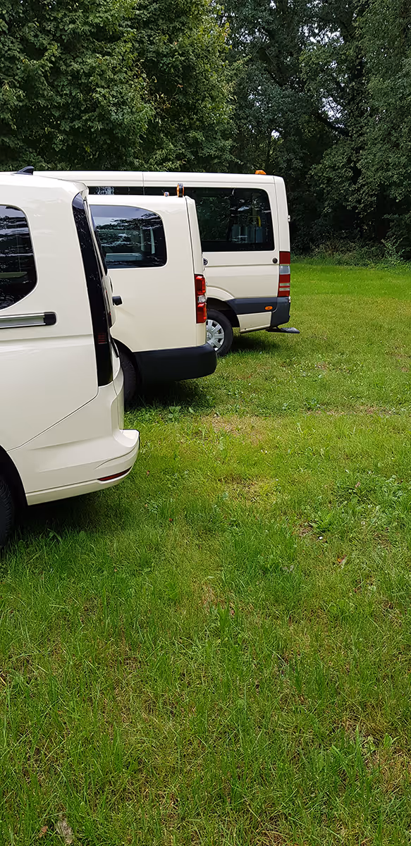 Drei weiße Transporter stehen in einer leicht schrägen Reihe auf einer grünen Wiese neben Bäumen.