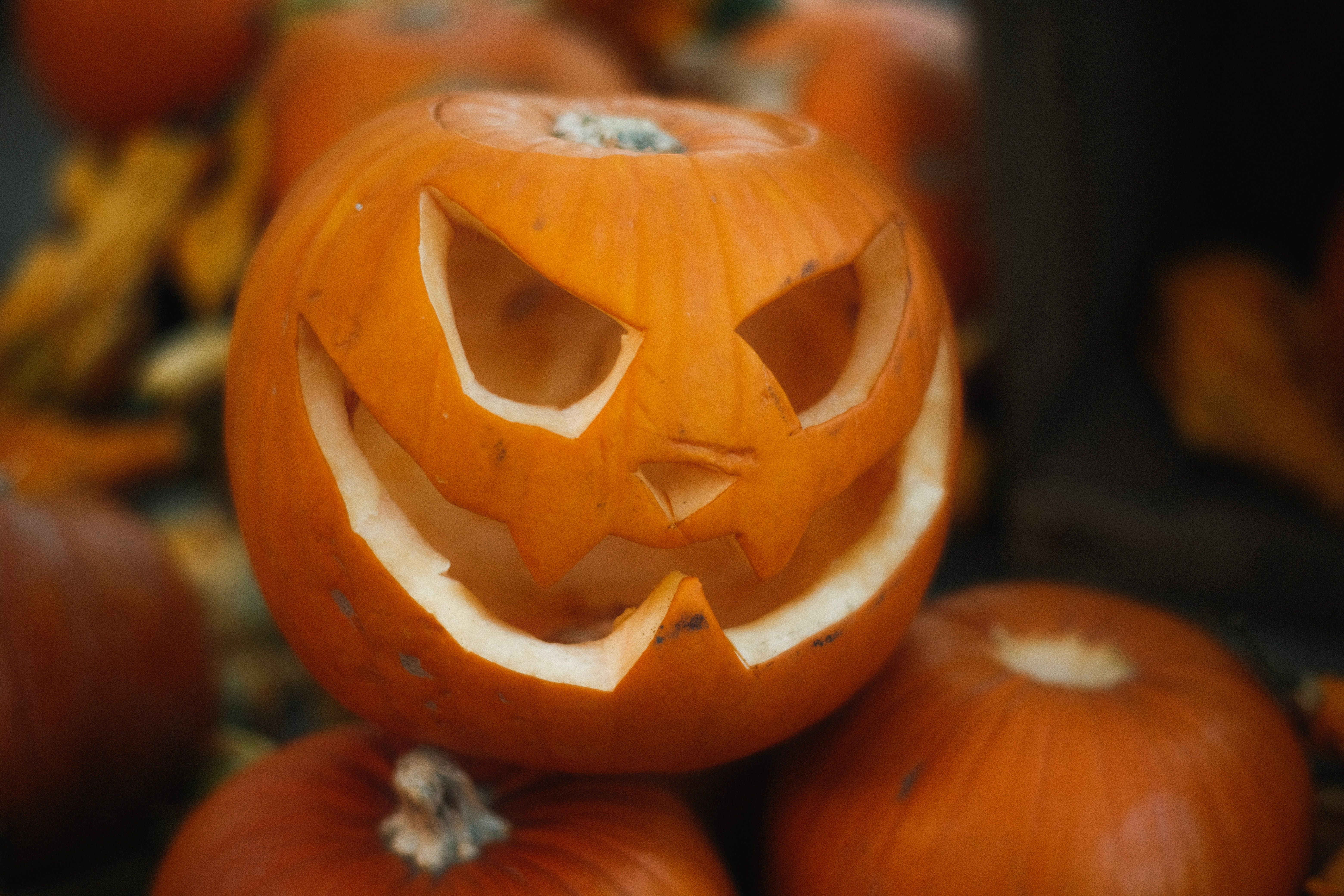 Pumpkin Picking in The Cotswolds