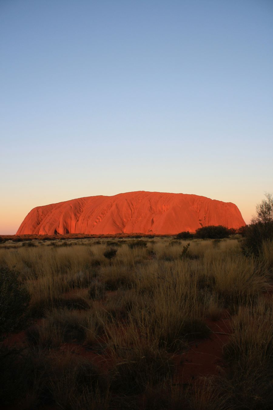 Australia & Oceania