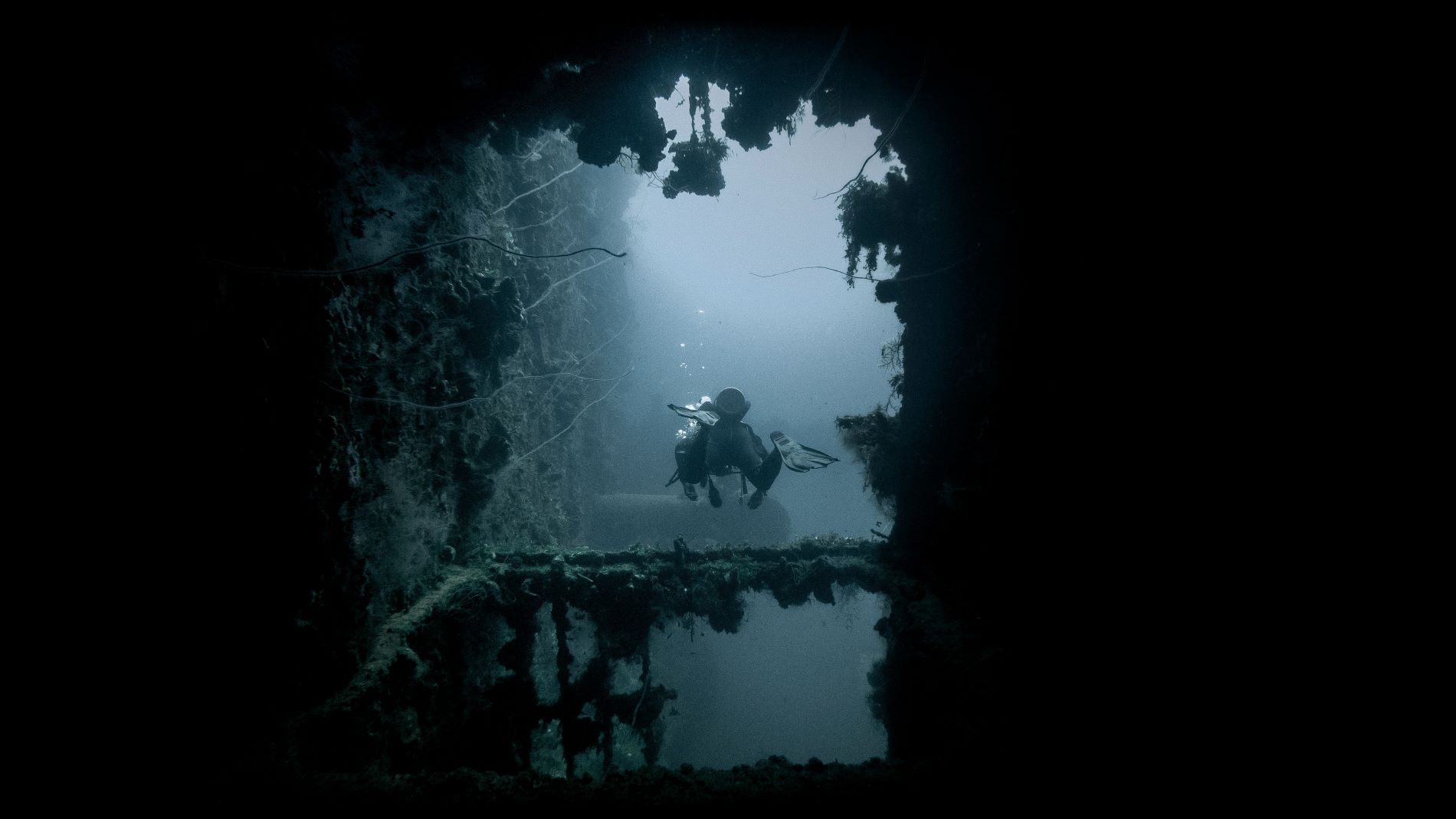 Chuuk (Truk) Lagoon: The World’s Largest WWII Underwater Graveyard