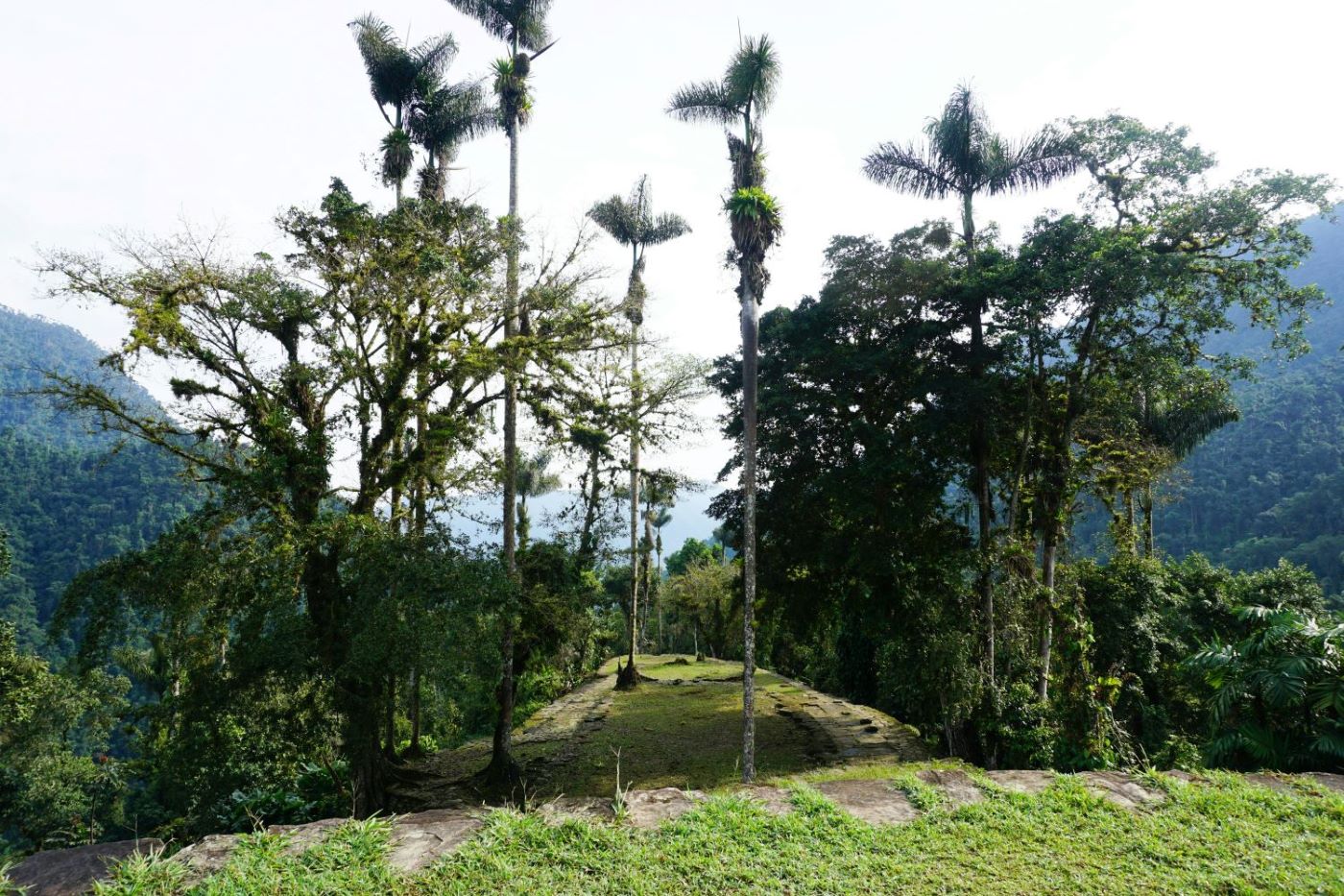 Ciudad Perdida: Colombia’s Lost City of the Tayrona and the Jungle That Reclaimed It