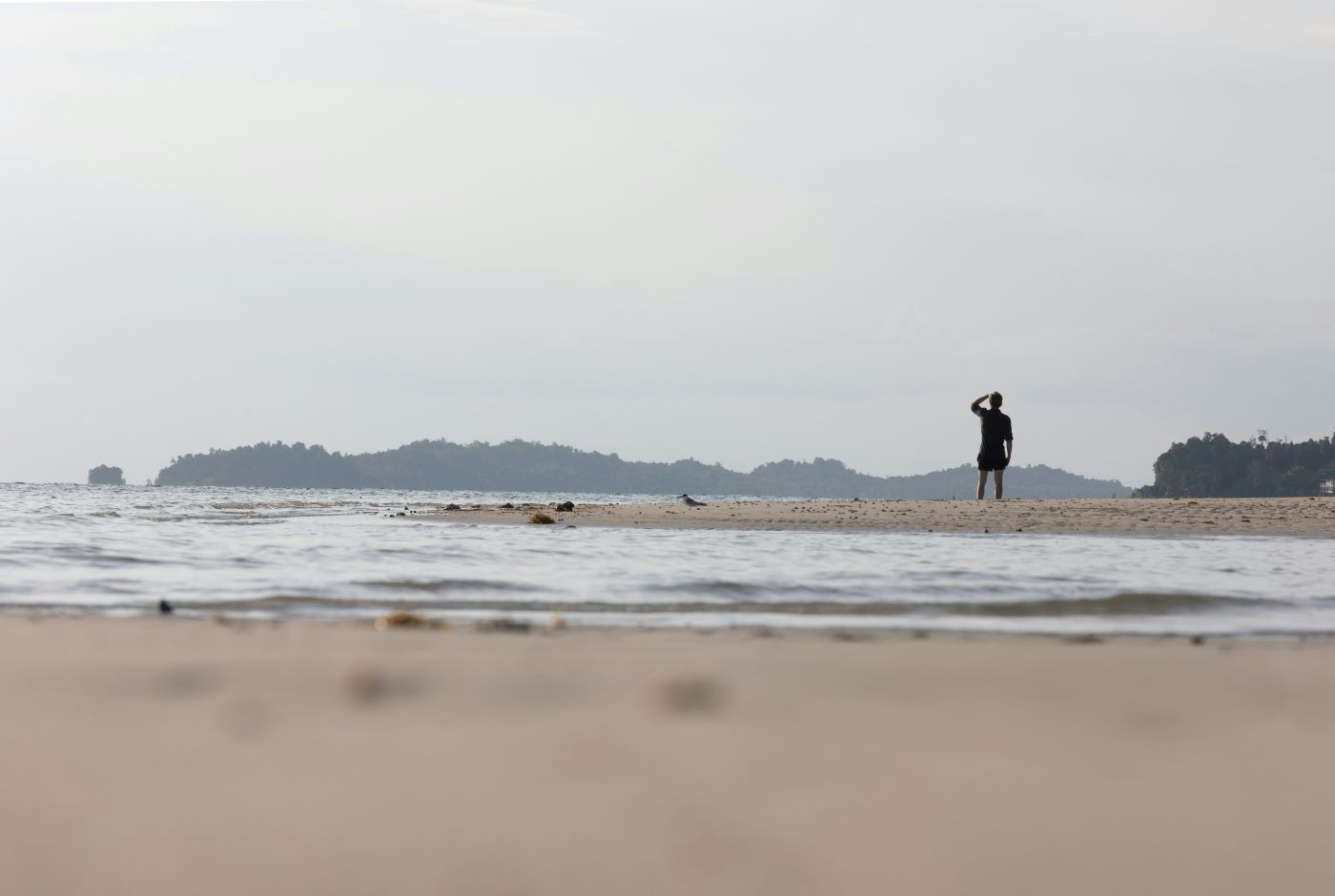 Robinson Crusoe Island: The True Story Behind the Legend