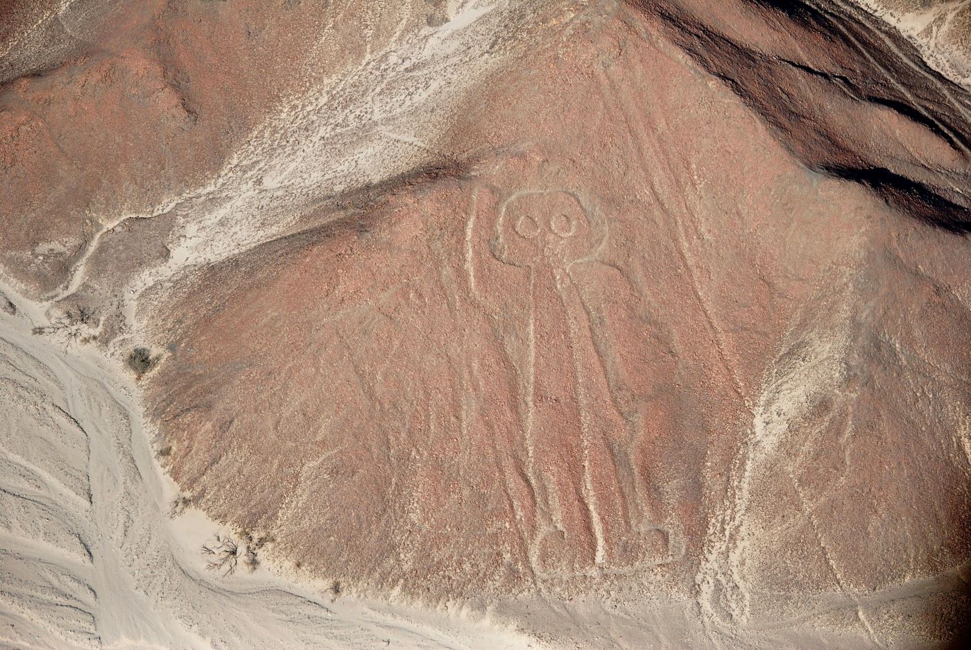 The Nazca Lines: Where the Earth Became a Canvas for the Gods