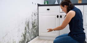 Profesionalno isušivanje zidova i podova mašinskim izvlačenjem vlage