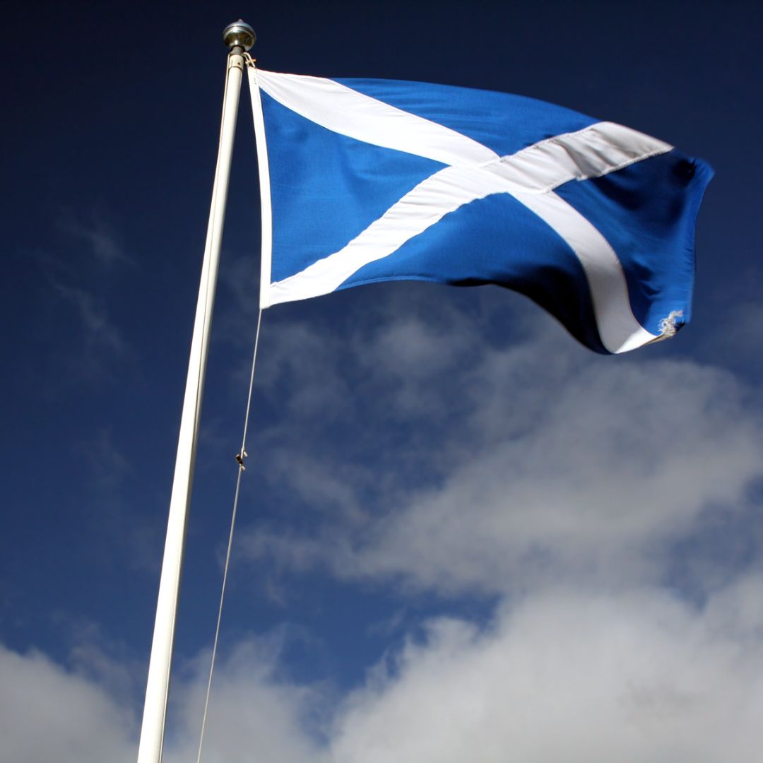 A Scottish flag on a pole, blowing in the wind.