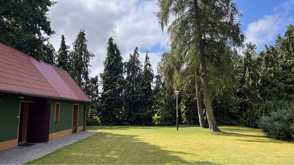 Große Wiese geeignet für Outdoor Training beim Movement Camp
