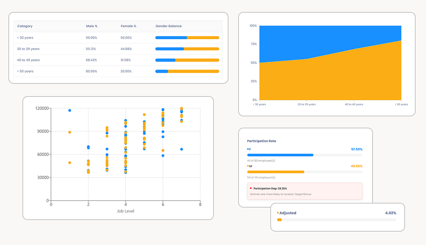 Dashboard showing gender balance by age group with table, stacked area chart of gender percentage, scatter plot of salaries by job level and gender, participation rate bars for female and male employees, and adjusted pay gap value.