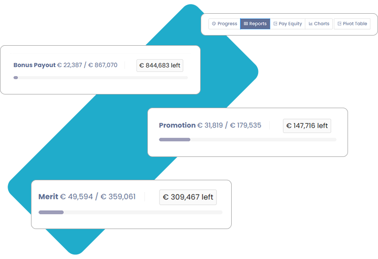 User interface showing a navigation bar with tabs Progress, Reports (selected), Pay Equity, Charts, and Pivot Table, and three progress bars for Bonus Payout, Promotion, and Merit with respective amounts and remaining balances in euros.