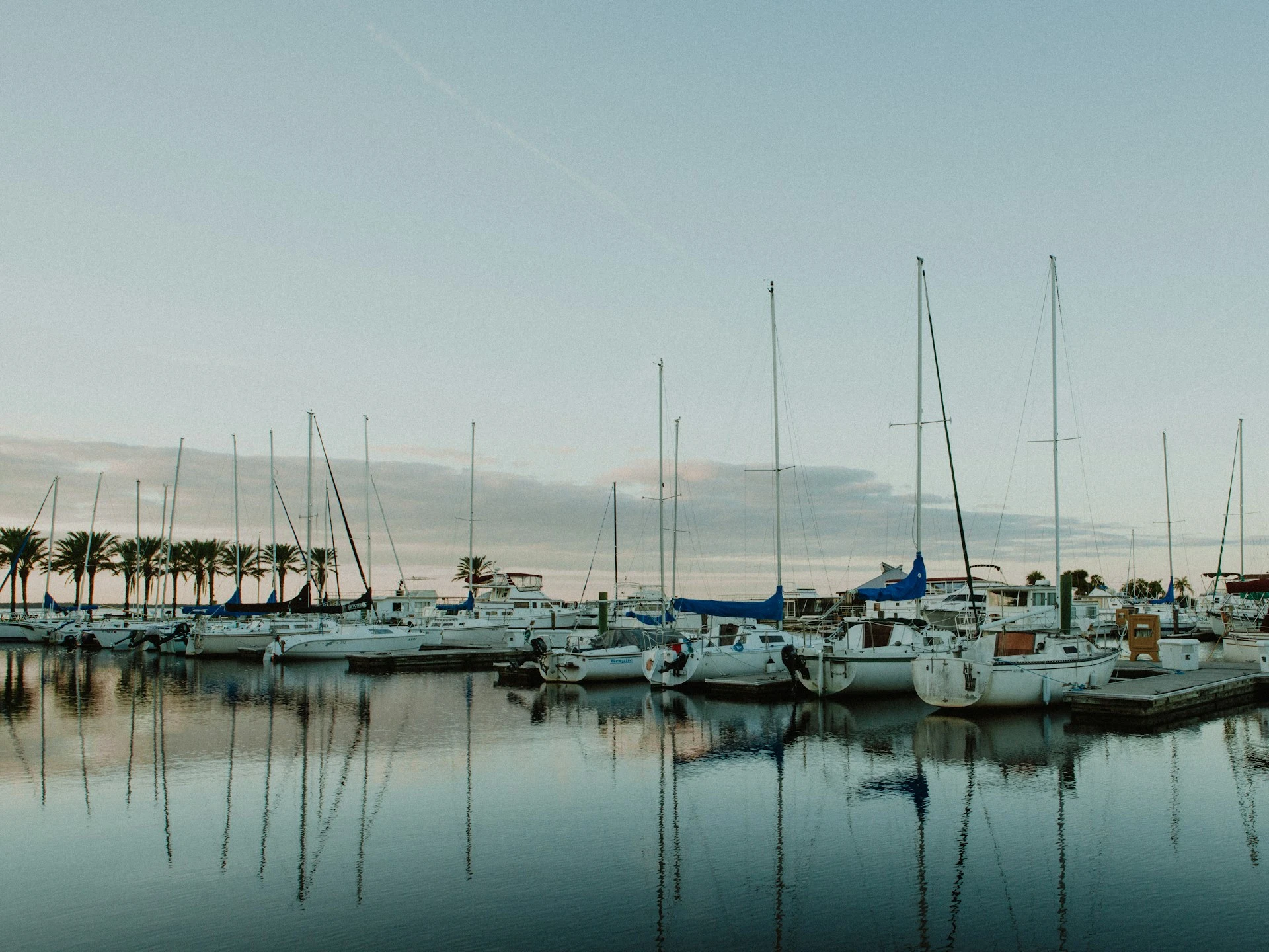 Row of sailboats docked at a calm marina with water reflecting the masts and hulls.