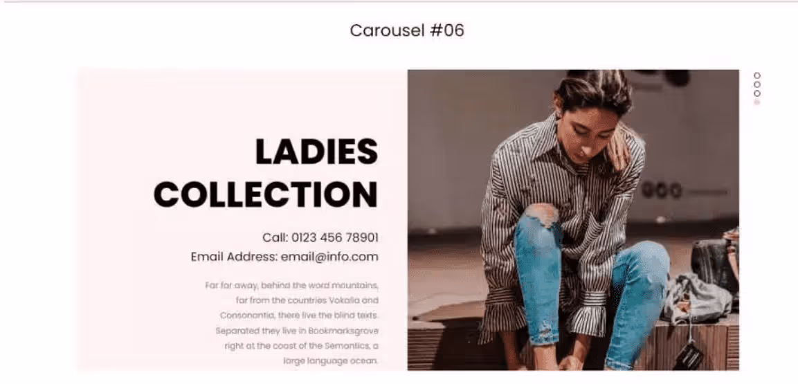 Bootstrap Carousel Theme 6