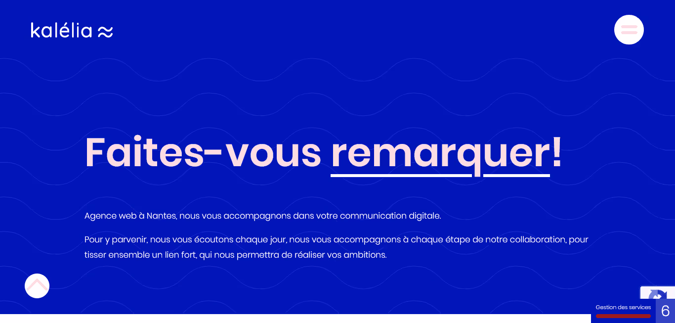 Agence création sites web Kalelia