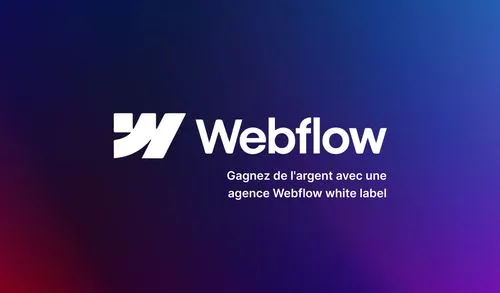 Comment gagner de l'argent avec une agence Webflow white label ?