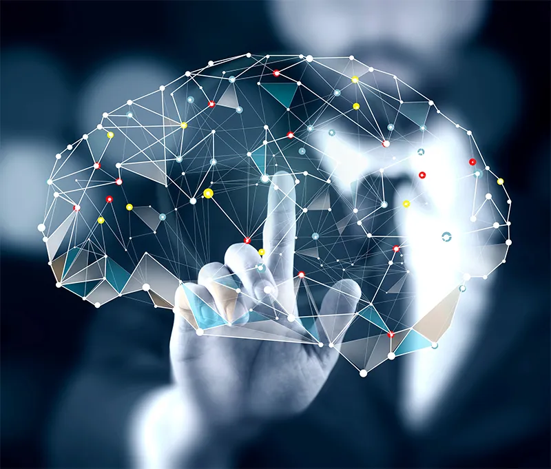 Behavioural Science brain