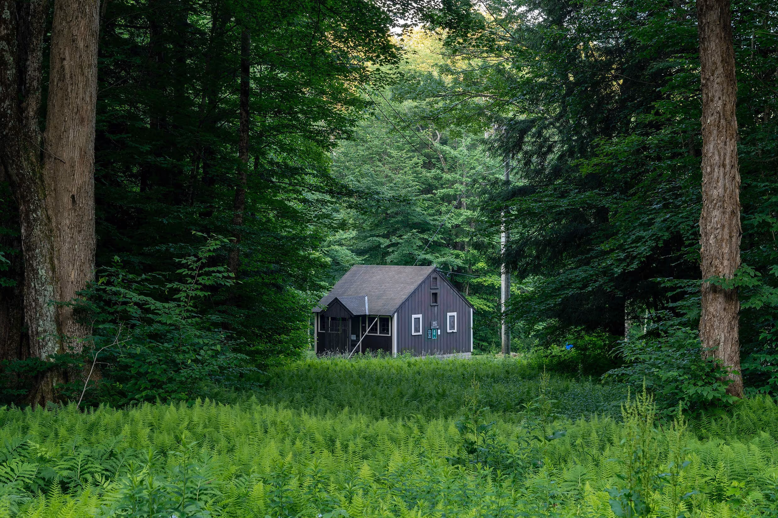 edited cabin vacations red cottage ny