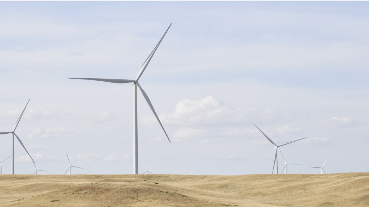 🌎 Talk of the town at NYCW #264