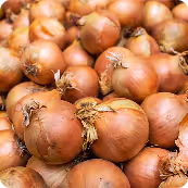 Close-up of a pile of brown onions with dry outer skins.