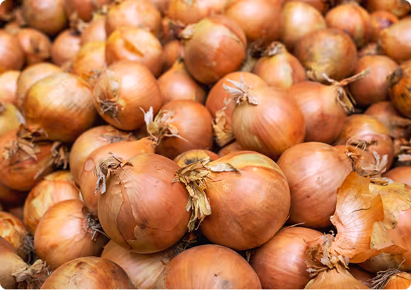 Close-up of a pile of whole brown onions with dry outer skins.