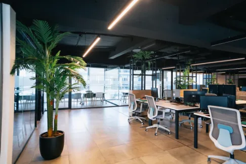 Cuatro empleados de Costera en reunión, trabajando desde un computador y una tableta