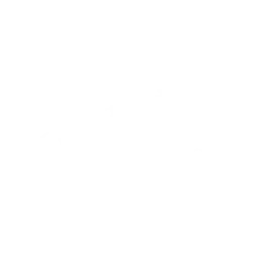 Logo The Facial Studio