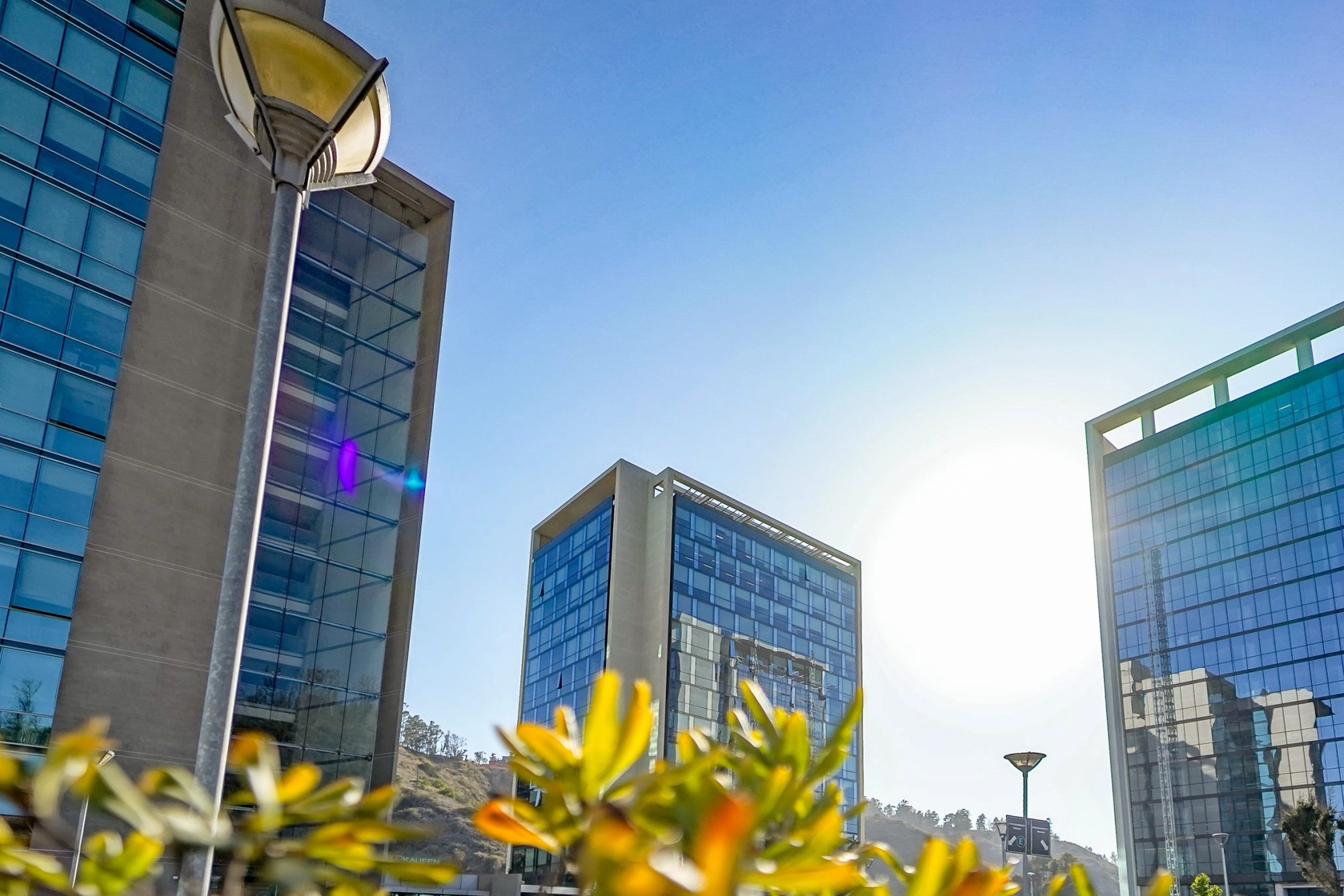 Cuatro empleados de Costera en reunión, trabajando desde un computador y una tableta