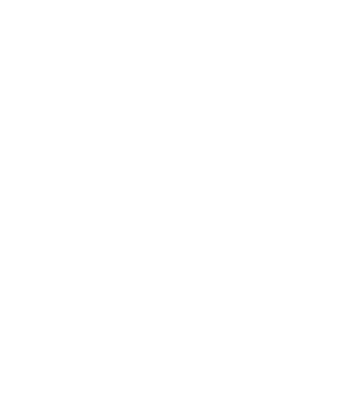 Georgia Working Families Power