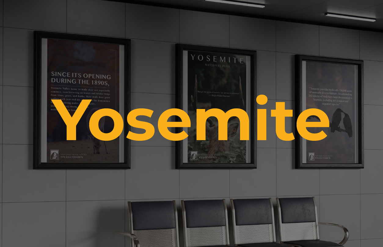 Three framed informational posters about Yosemite wildlife displayed on a gray tiled wall above a row of four metal and black chairs.