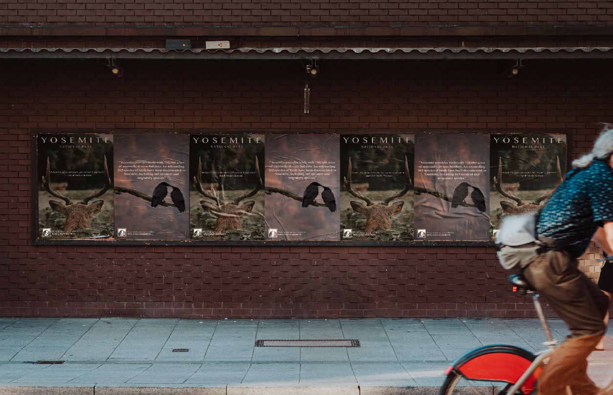Row of Yosemite National Park posters on a brick wall featuring images of a deer with antlers and black birds on a branch, with a cyclist riding past on the right.