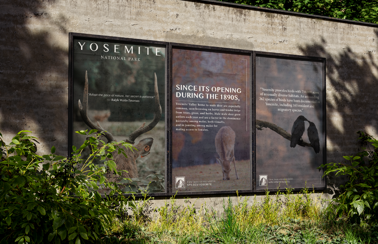 Three framed informational posters about Yosemite National Park mounted on a concrete wall, surrounded by green plants and shadows.