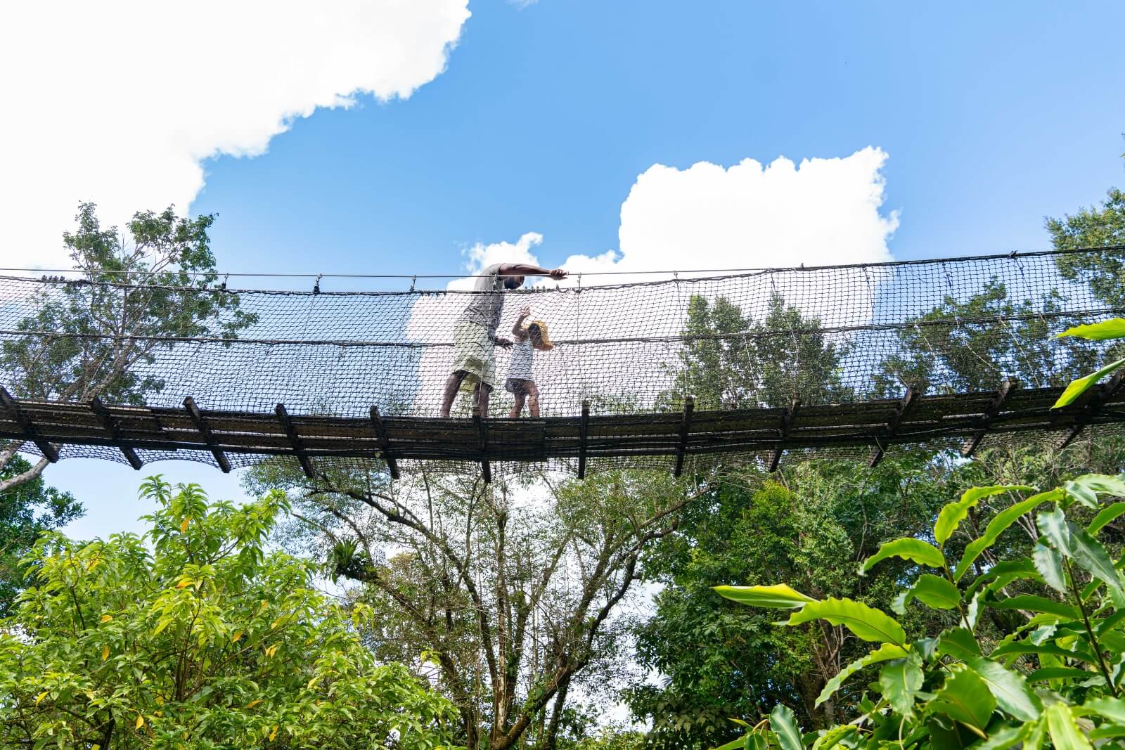 zoo-guadeloupe-parc-zoologique-canopee