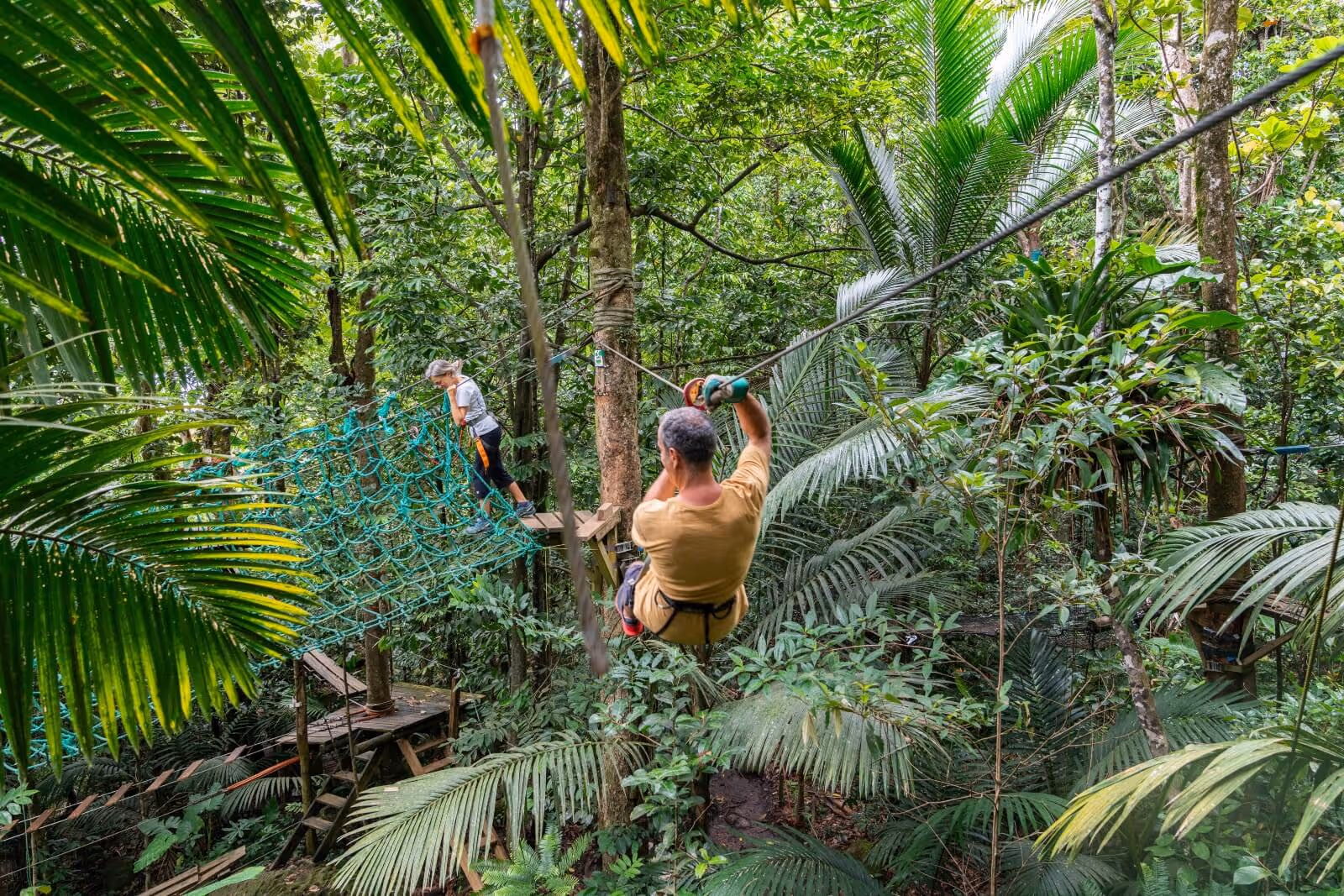 zoo-guadeloupe-canopee-tapeur