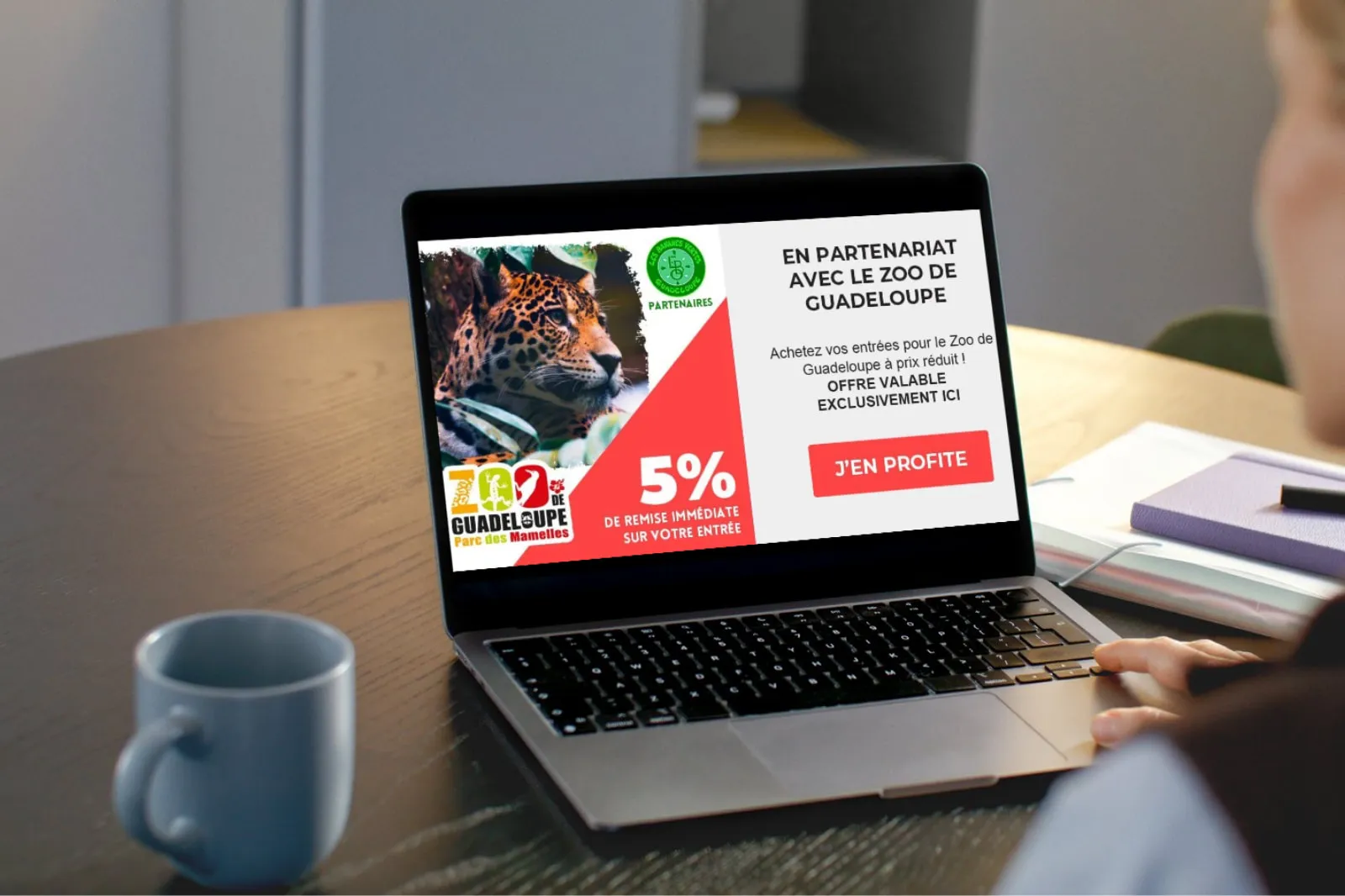 zoo-guadeloupe-affiliation-gites-hotels