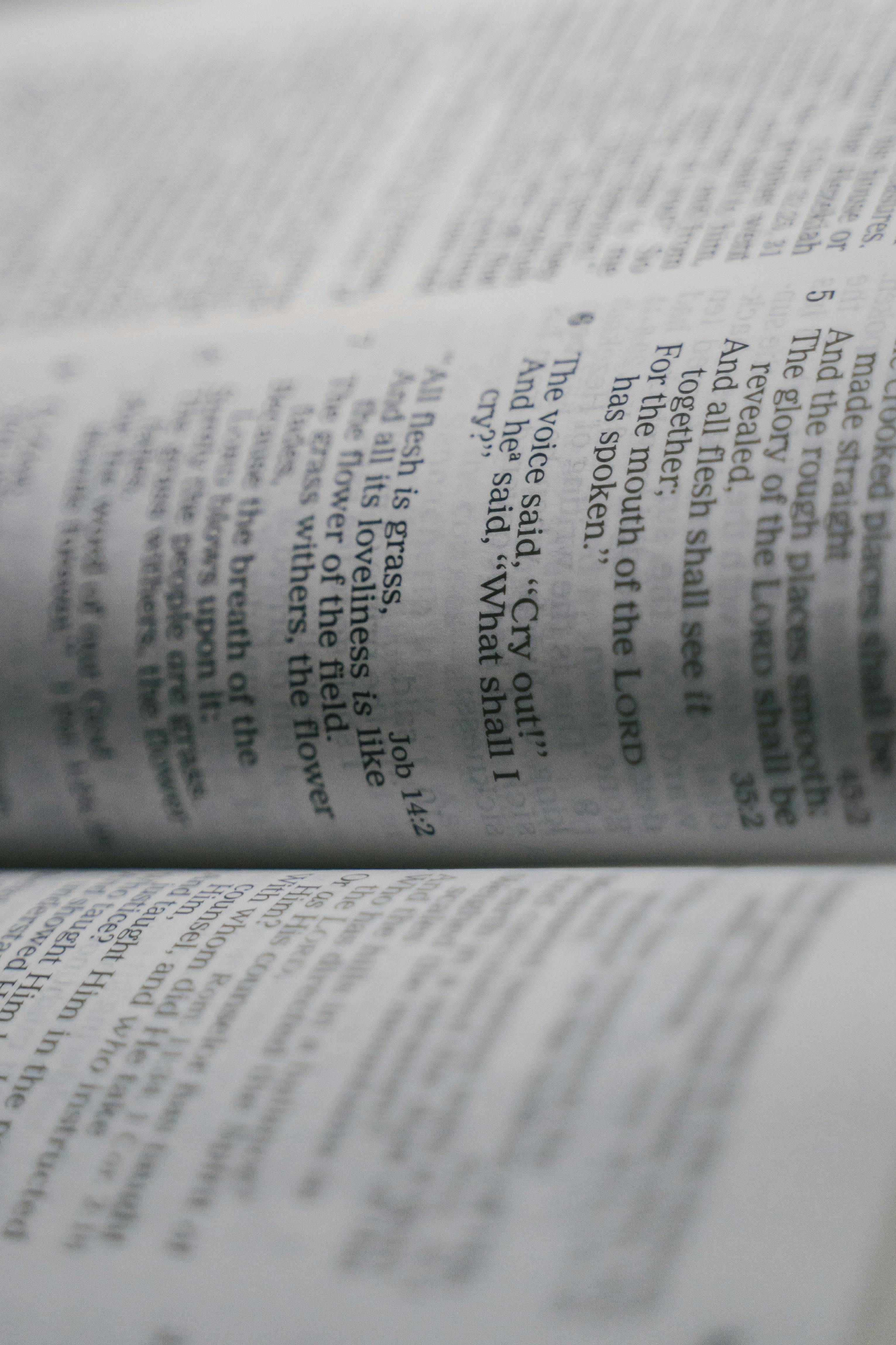 Close-up of an open Bible showing verses from the Book of Job with blurred text on top and bottom.
