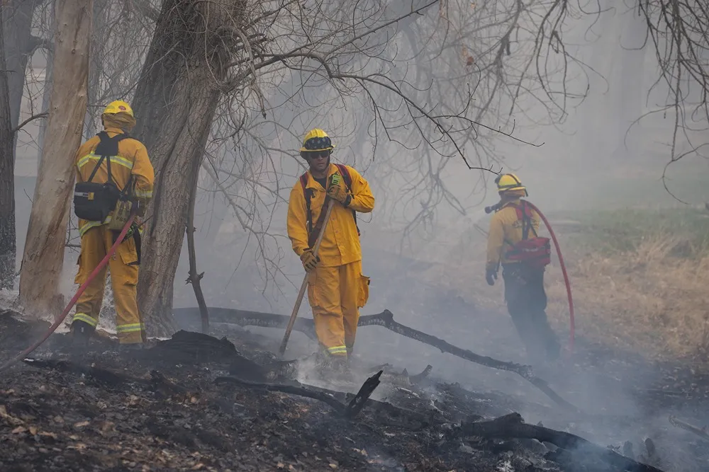 Firefighters in yellow wildland gear working to contain a brush fire in a wooded area