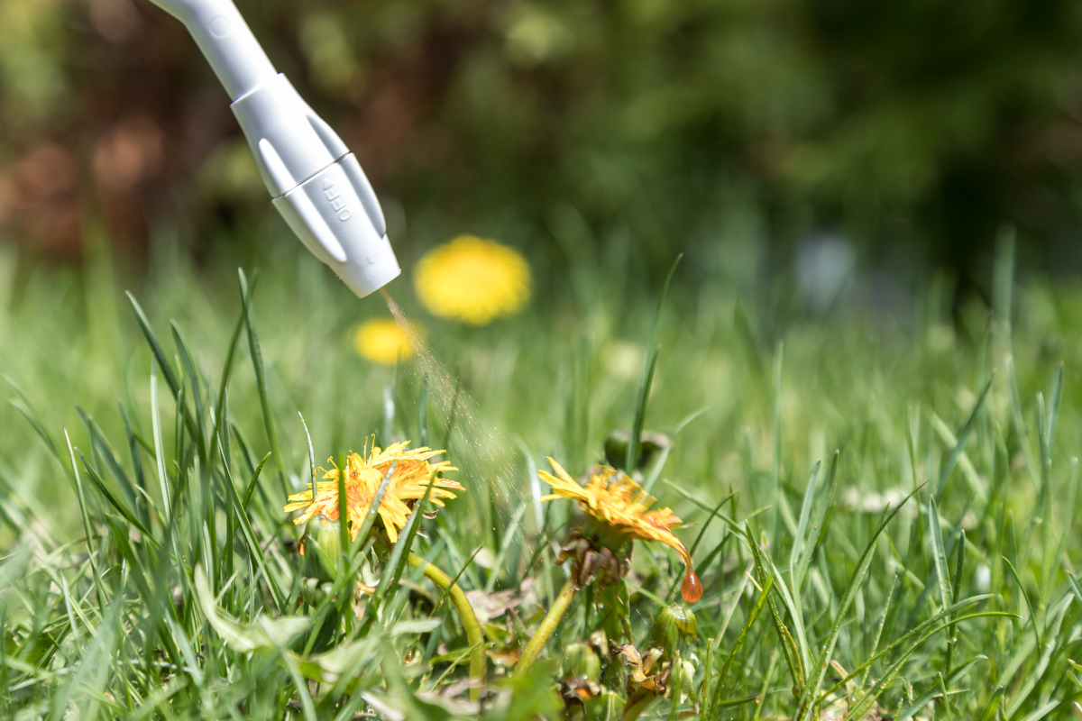 Service TurLuv provides