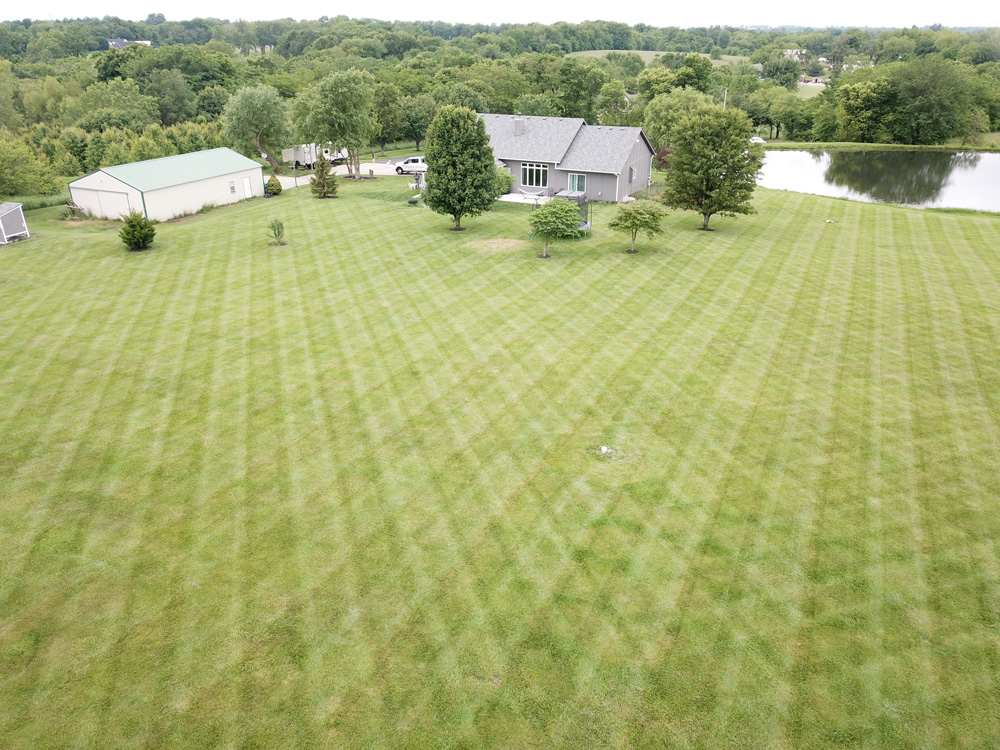 Recent Work Done by TurfLuv