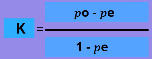 inter-rater-reliability