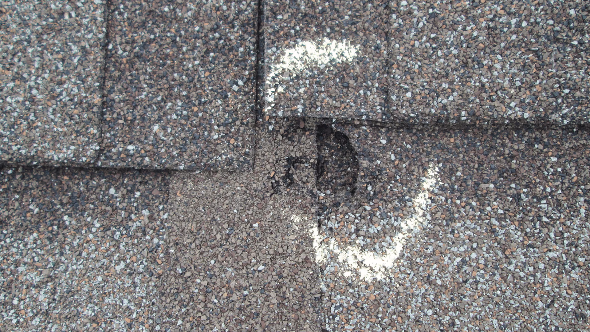 hail damage on roof of raleigh home