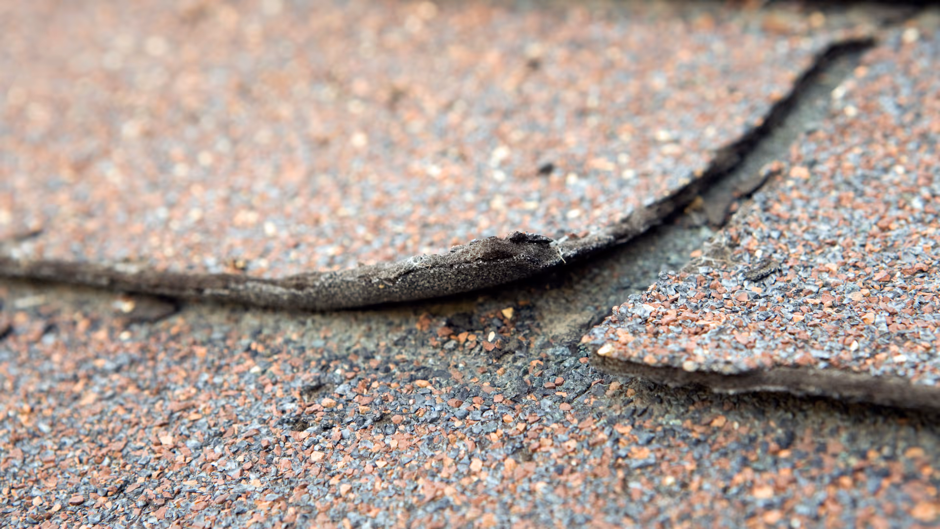 loose roof shingles